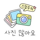 가평아름마루독채애견펜션 이미지