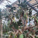 서부농업기술센터 이미지