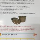 부성홍삼