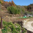 공지산 둘레길 이미지