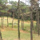 광주이씨광릉부원군파묘역 이미지