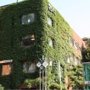 마로니에공원 이미지