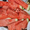 지오펜션2 이미지