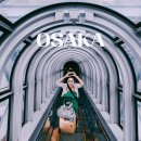 5세대 이동통신 그리고 48시간 | 일본 오사카 여행 준비물｜오사카 교통패스·지하철로 가볼만한곳