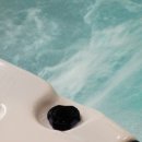 스테이포레스트 이미지