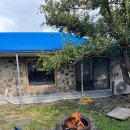 제주민박 이미지