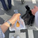 대구 가볼만한 곳 대구 달성공원 새벽시장 다녀온 후기