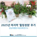 힐링정원 | [강남차병원 여성의학연구소] 2025년 마지막 '힐링정원' 후기