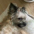 적벽강가든 이미지