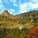 봉화 Daum카페