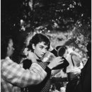 오드리햅번(audrey Hepburn) Daum카페