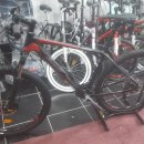 일렉스타 알톤 이미지