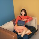 닥터스컬렉션
