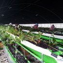 율리2농장 이미지