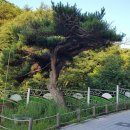 선문사