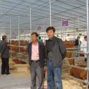 여량축산 이미지