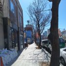 대연중학교 | 부산 대연동 유엔기념공원 (25.02.19)