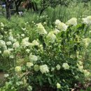 교문중학교 이미지