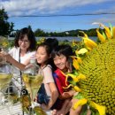 김선규농장 이미지