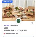 샐러디마포