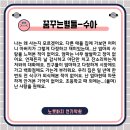 꿈꾸는 별들