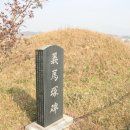 의마총 이미지