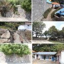 한산초등학교좌도분교장 이미지