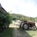 상용목장 이미지