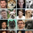 개벤져스 이미지