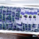 세용 농장 이미지