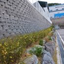 옥산조경 - 양천구 목동중앙서로7길 16-14 | 옥산조경