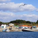 가경주항 이미지