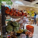우리단둘이 | 세부 여행 아이랑 단둘이 세부 막탄공항 찐 이용후기와 출국 팁
