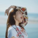 조이비디오 이미지