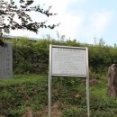 노촌이약동선생신도비 이미지