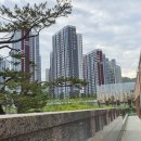 세계식육점 이미지