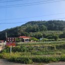 묵계1리 마을회관 뒤 이미지