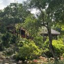 (주)초원렌트카 | [베트남/푸꾸옥] 푸꾸옥 빈펄 사파리 꿀팁 &amp; 코스 정리｜오픈런, 주트램, 사파리 버스 투어 후기