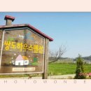 쌍도하우스 이미지