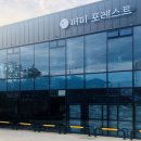 퍼피포레스트 이미지