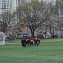 안산PLP축구교실