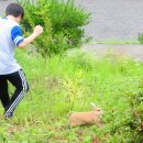 동해광희중학교 이미지