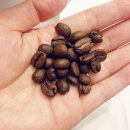 제네시스카페 이미지