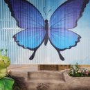 벅스패밀리 이미지