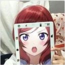 노리존