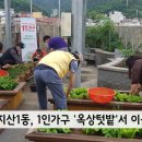충장45상생발전협의회 네이버블로그