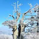 태백산탁구장 이미지