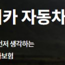 프로미자주카 이미지