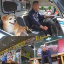 동물농장 이미지