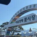 해바라기유치원(어린이집) | 양재꽃시장 작은 꽃다발 가격? 양재화훼단지 영업시간 주차